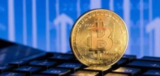 SIN币今日价格是多少