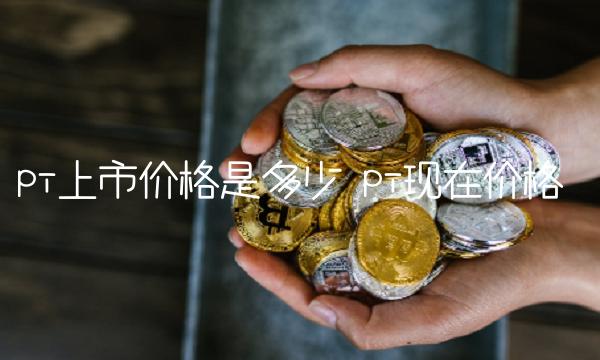 pi上市价格是多少-第1张图片-欧意下载
