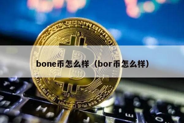 bon币怎么样（bor币怎么样-第1张图片-欧意下载