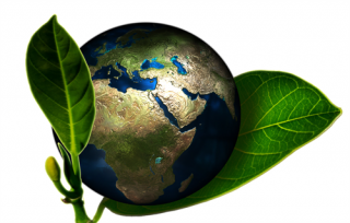 环保币最高价格是多少 GC官方最新消息