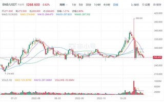 BIAN币现在多少钱一个 BNB最新行情消息