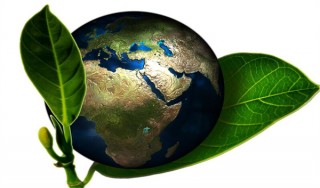 gc环保币是不是跑路了? 环保币最新消息2023