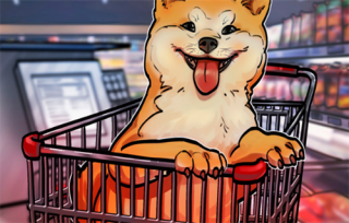 投资狗狗币有哪些用处? 比特币和狗狗币有什么区别?