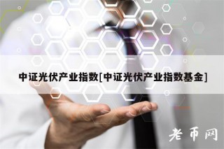 中证光伏产业指数[中证光伏产业指数基金]