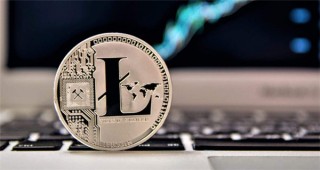 plg币最新消息(plm币上线)