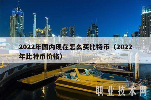 2022年国内现在怎么买比特币（2022年比特币价格-第1张图片-欧意下载