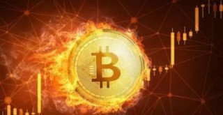 LN币今日最新价格介绍