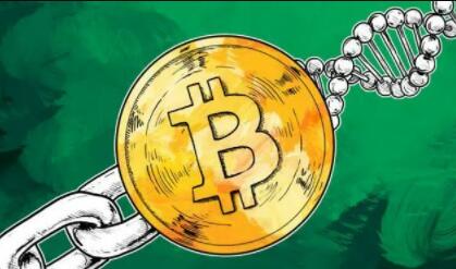 兀币的最新消息与新闻(兀币最新情况官网)-第1张图片-欧意下载