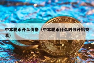 中本聪币开盘价格（中本聪币什么时候开始交易）