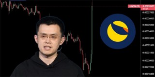 LUNC秒涨46%！赵长鹏不敌抵制BIAN运动改全面销毁