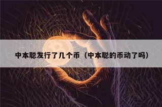 中本聪发行了几个币（中本聪的币动了吗）