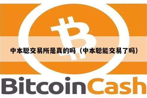 中本聪交易平台是真的吗（中本聪能交易了吗）-第1张图片-欧意下载