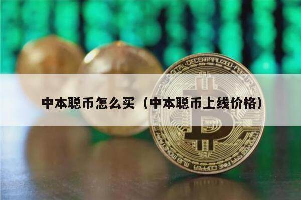 中本聪币怎么买（中本聪币上线价格）-第1张图片-欧意下载