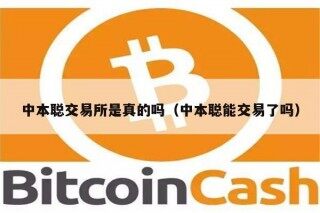 中本聪交易平台是真的吗（中本聪能交易了吗）