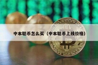中本聪币怎么买（中本聪币上线价格）