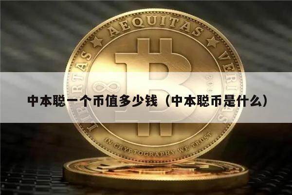 中本聪一个币值多少钱（中本聪币是什么）-第1张图片-欧意下载