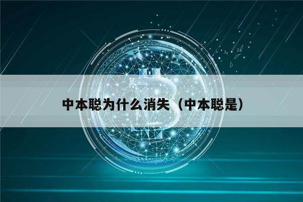 中本聪为什么消失（中本聪是）-第1张图片-欧意下载