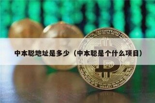 中本聪地址是多少（中本聪是个什么项目）