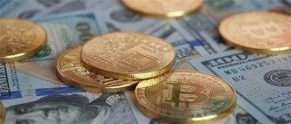 cdt价格今日行情是多少钱