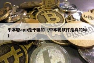 中本聪app是干嘛的（中本聪软件是真的吗）