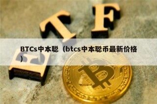 BTCs中本聪（btcs中本聪币最新价格）