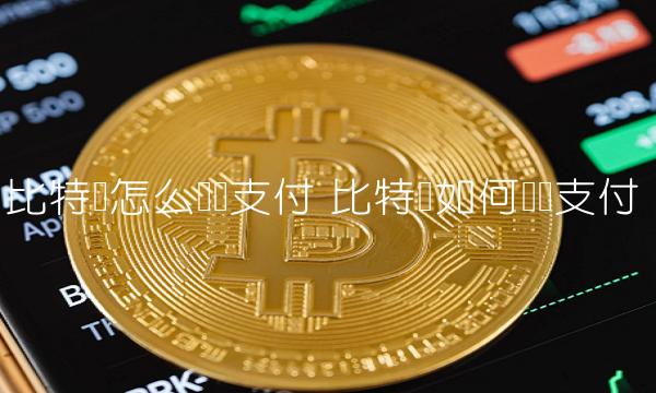 比特币怎么扫码支付-第1张图片-欧意下载