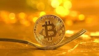 fg币行情(FG币价格走势)