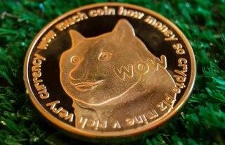 狗币交易平台 狗币交易平台app官网下载安卓版*2022官网最新v6.0.26安卓版