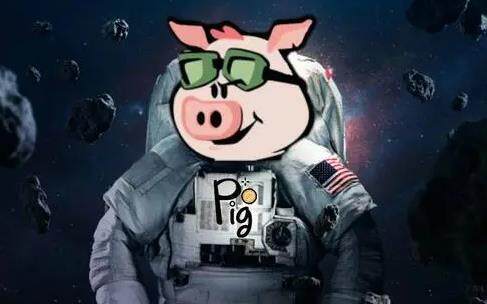pig币下载官方app下载 pig币虚拟币交易平台官网-第1张图片-欧意下载