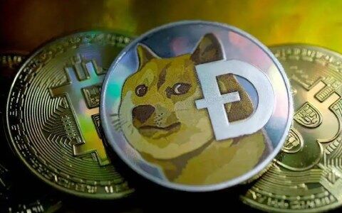 莱特币会涨到1000美元吗(莱特币怎么不涨)-第1张图片-欧意下载