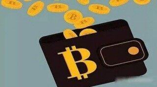 topay钱包安卓版下载