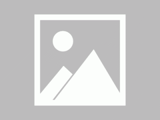 派币钱包最新版怎么下载