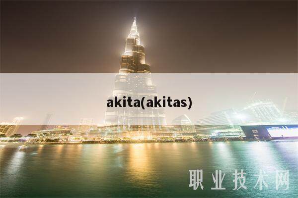 akita(akitas)-第1张图片-欧意下载