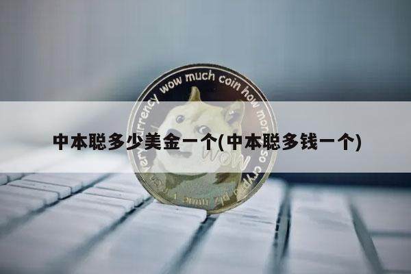 中本聪多少美金一个(中本聪多钱一个)-第1张图片-欧意下载