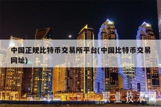 中国正规比特币交易平台平台(中国比特币交易网址)