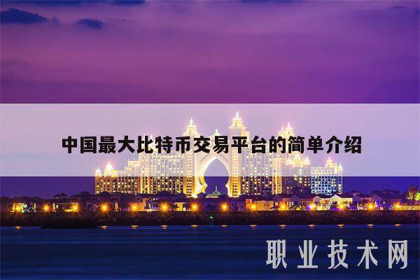 中国最大比特币交易平台的简单介绍-第1张图片-欧意下载