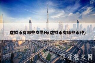 虚拟币有哪些交易平台(虚拟币有哪些币种)