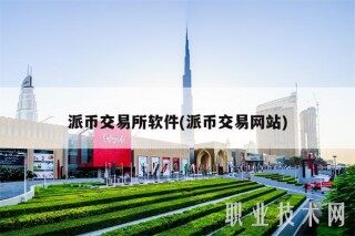派币交易平台软件(派币交易网站)