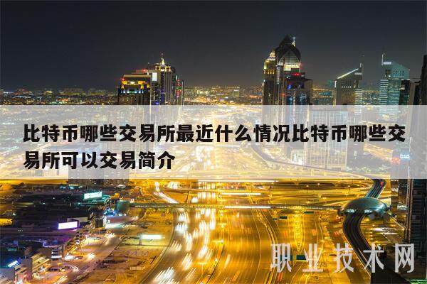 比特币哪些交易平台最近什么情况比特币哪些交易平台可以交易简介-第1张图片-欧意下载