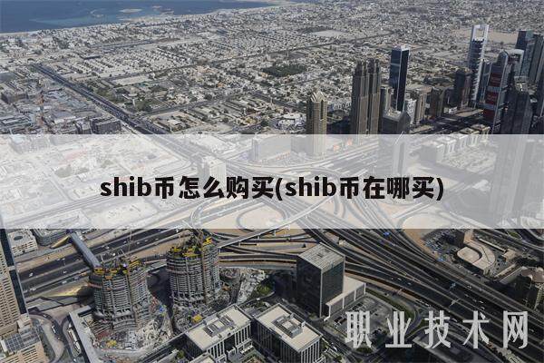 shib币怎么购买(shib币在哪买)-第1张图片-欧意下载