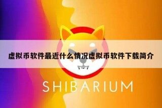 虚拟币软件最近什么情况虚拟币软件简介