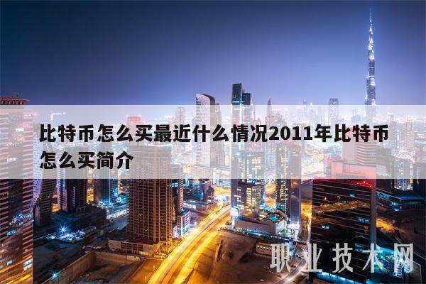 比特币怎么买最近什么情况2011年比特币怎么买简介-第1张图片-欧意下载
