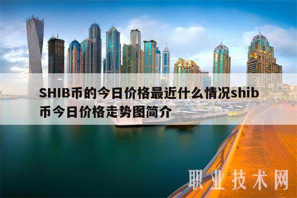 SHIB币的今日价格最近什么情况shib币今日价格走势图简介-第1张图片-欧意下载