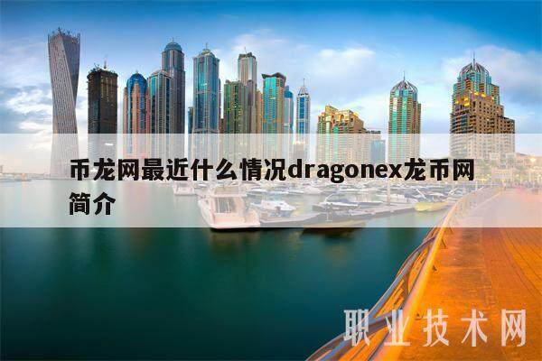 币龙网最近什么情况dragonex龙币网简介-第1张图片-欧意下载