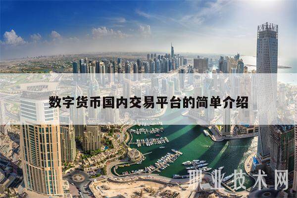 数字货币国内交易平台的简单介绍-第1张图片-欧意下载