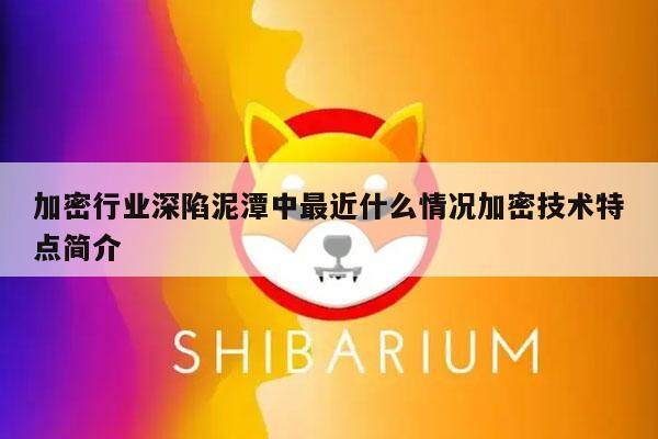 加密行业深陷泥潭中最近什么情况加密技术特点简介-第1张图片-欧意下载