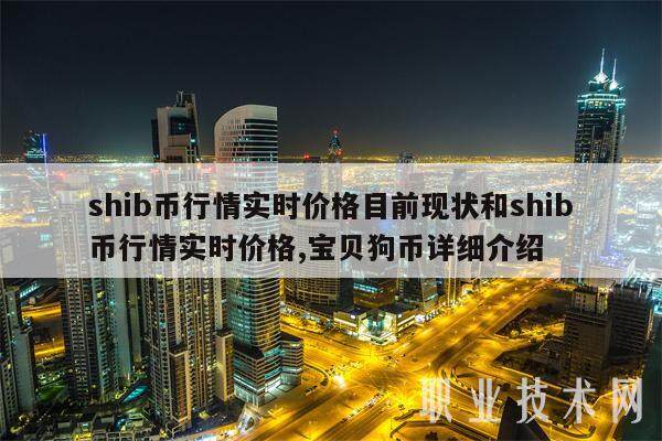 shib币行情实时价格目前现状和shib币行情实时价格,宝贝狗币详细介绍-第1张图片-欧意下载