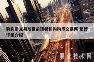 狗狗币交易平台目前现状和狗狗币交易平台 赌博详细介绍