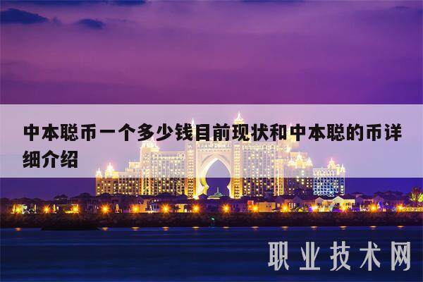 中本聪币一个多少钱目前现状和中本聪的币详细介绍-第1张图片-欧意下载