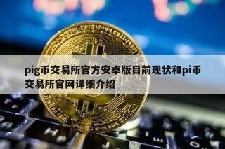 pig币交易平台官方安卓版目前现状和pi币交易平台官网详细介绍